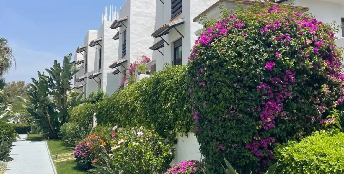 Sale of penthouse in Selwo 25