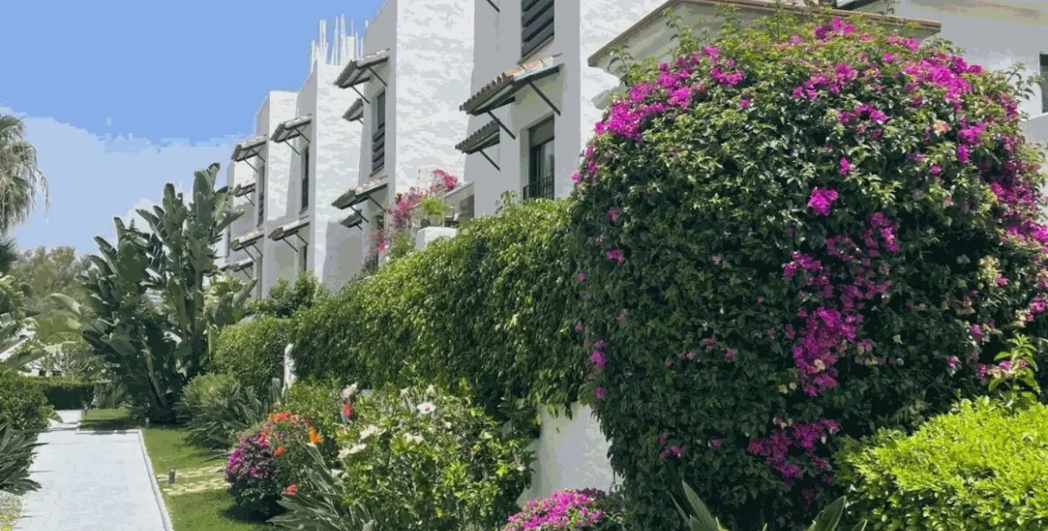 Sale of penthouse in Selwo 27