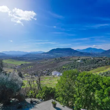 Sale of detached villa in Alora