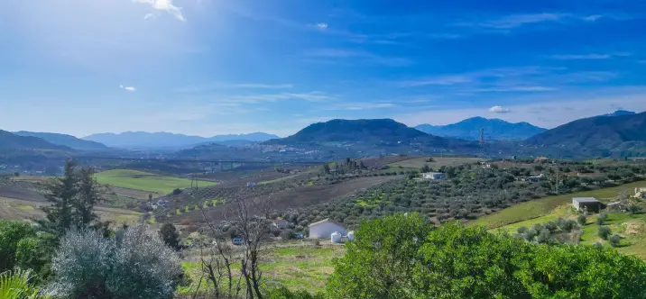 Sale of detached villa in Alora 3