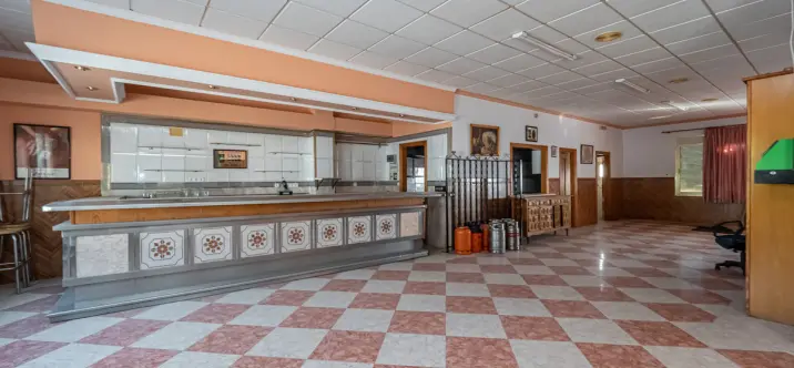 Продажа коммерческого помещения в Alozaina 1