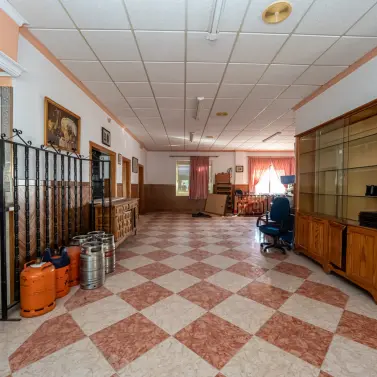 Продажа коммерческого помещения в Alozaina