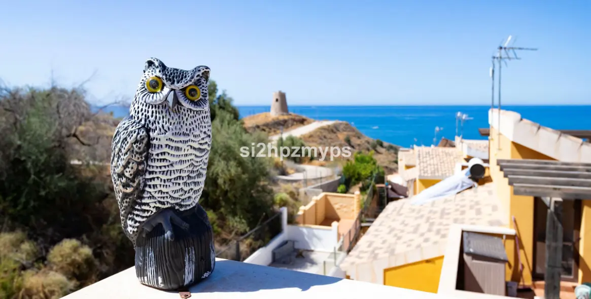 Продажа таунхауса в Vélez-Málaga 16