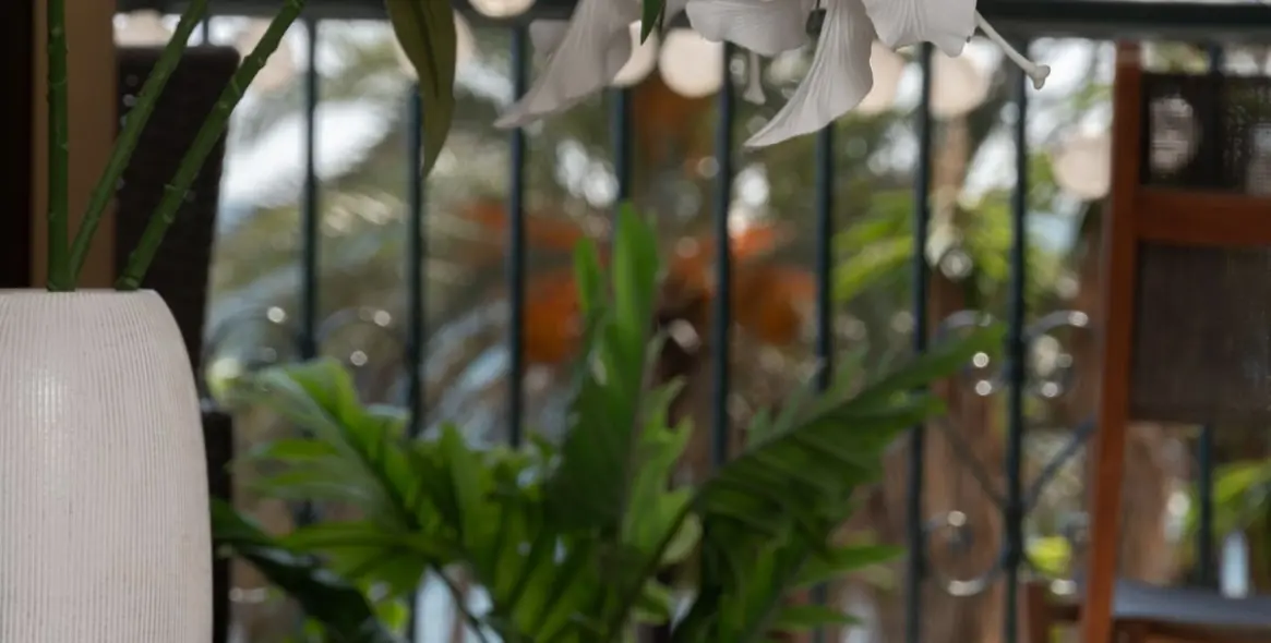 Venta de apartamento en planta media en Fuengirola 29