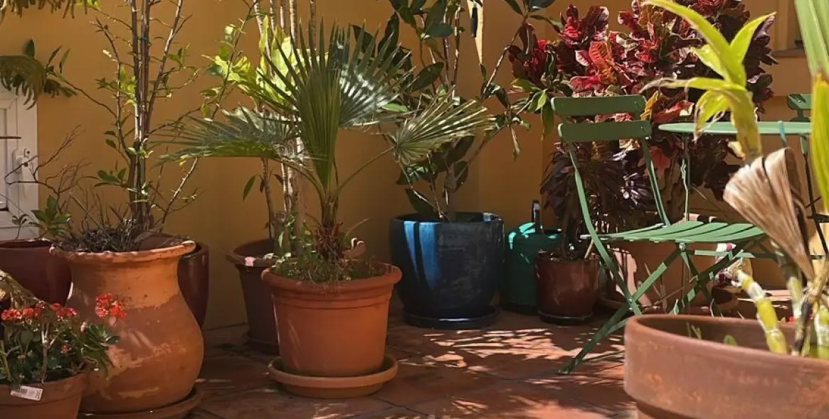 Продажа  отдельно стоящей виллы в Estepona 1