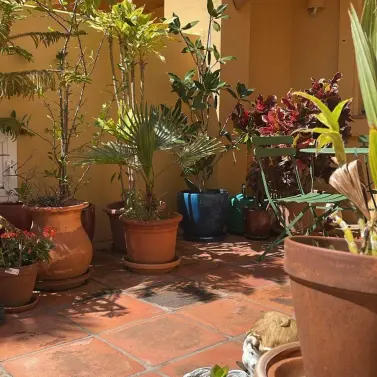 Продажа  отдельно стоящей виллы в Estepona