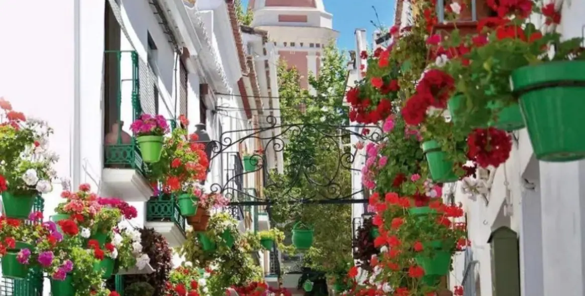 Sale of penthouse duplex in Estepona 23