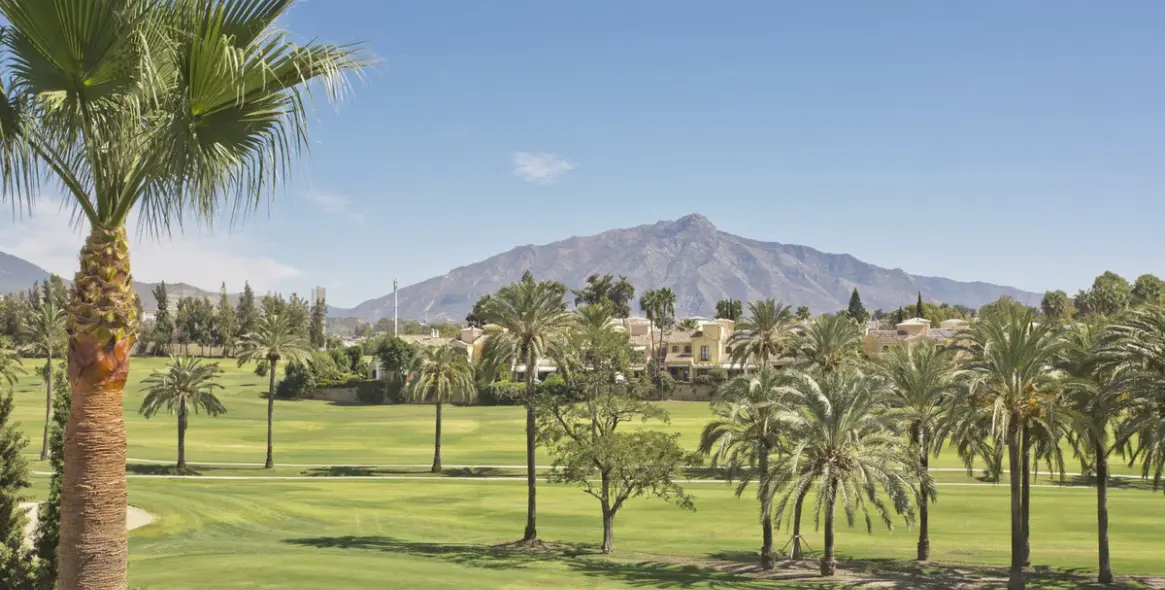 Продажа дома на две семьи в Guadalmina Baja 15