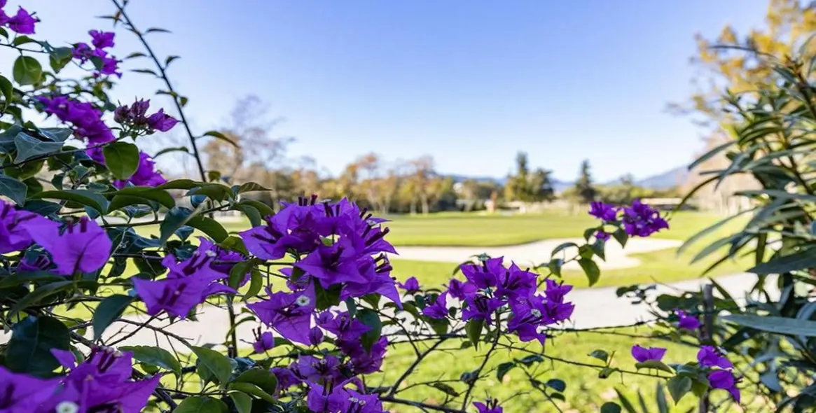 Продажа таунхауса в Guadalmina Baja 24