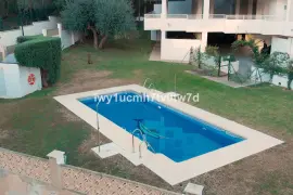 Image 4 thumb