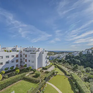 Продажа пентхауса в Selwo