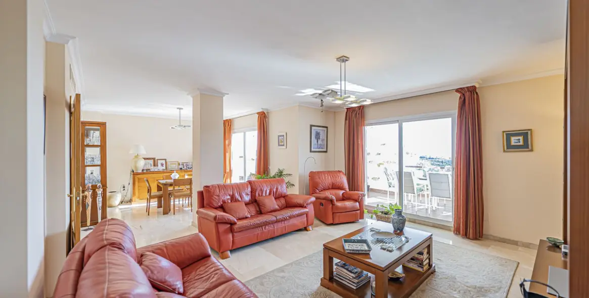 Продажа пентхауса в Selwo 4