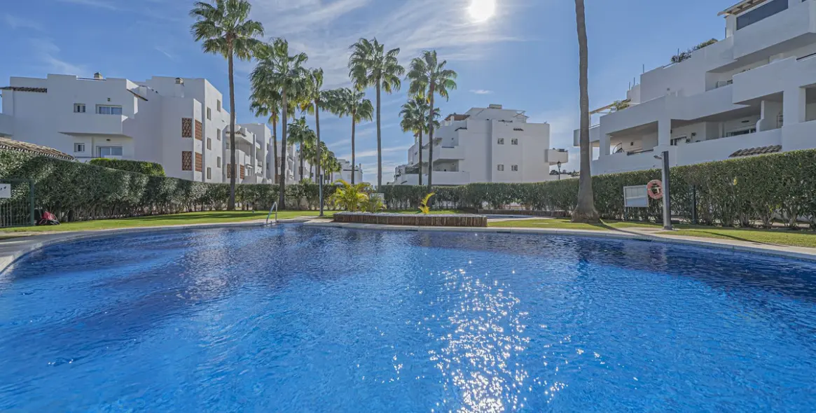 Продажа пентхауса в Selwo 6