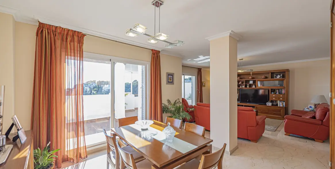 Продажа пентхауса в Selwo 11