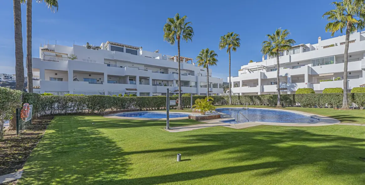 Продажа пентхауса в Selwo 1