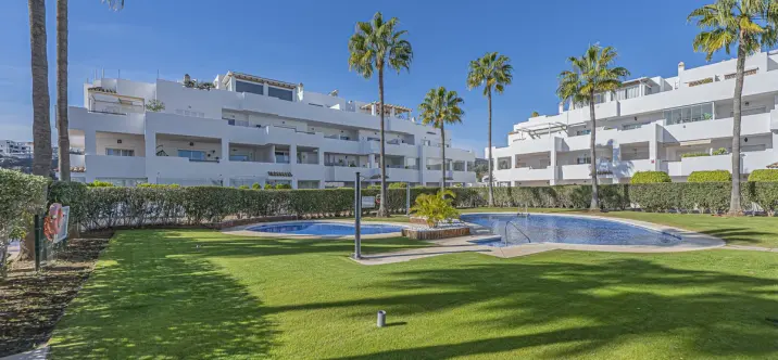 Продажа пентхауса в Selwo 0