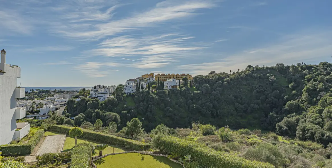 Продажа пентхауса в Selwo 12