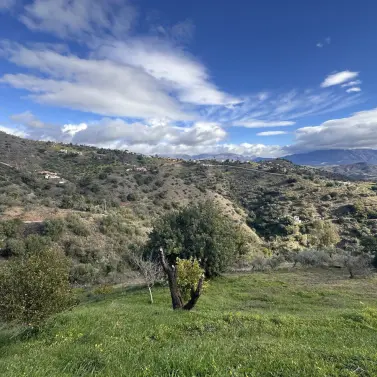 Продажа финки в Colmenar