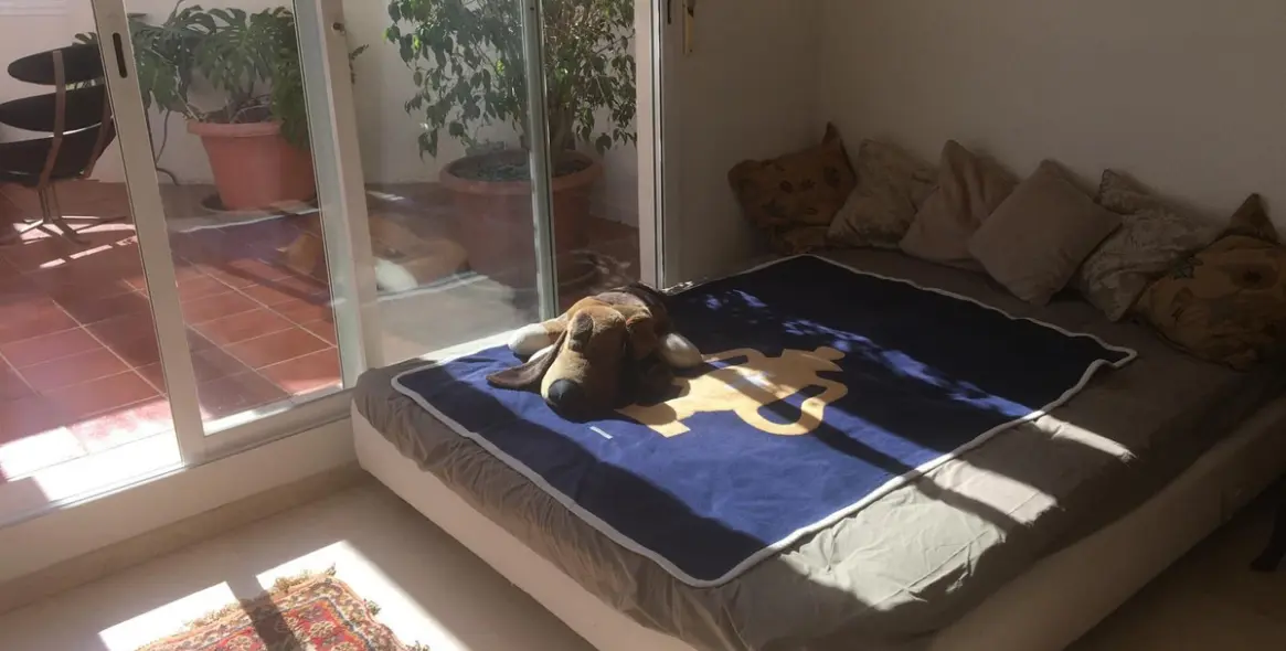 Venta de ático en San Pedro de Alcántara 19