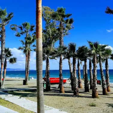 Venta de parcela residencial en San Pedro de Alcántara