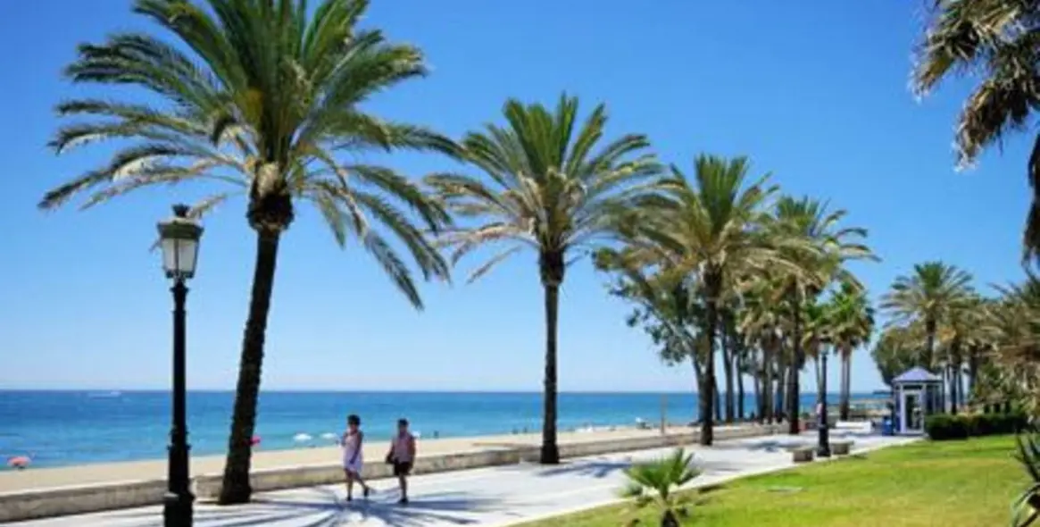 Venta de parcela residencial en San Pedro de Alcántara 4