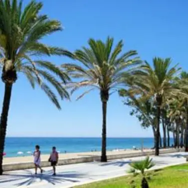 Venta de parcela residencial en San Pedro de Alcántara