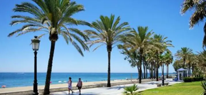 Venta de parcela residencial en San Pedro de Alcántara 3