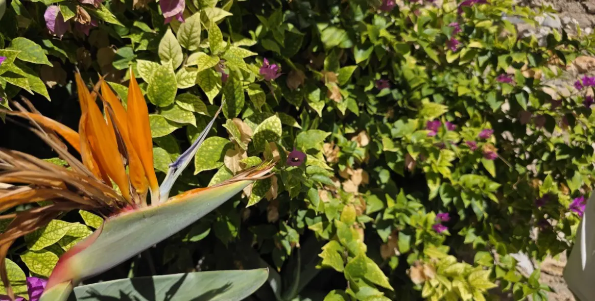 Продажа таунхауса в Cómpeta 4