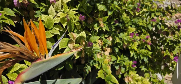 Продажа таунхауса в Cómpeta 3