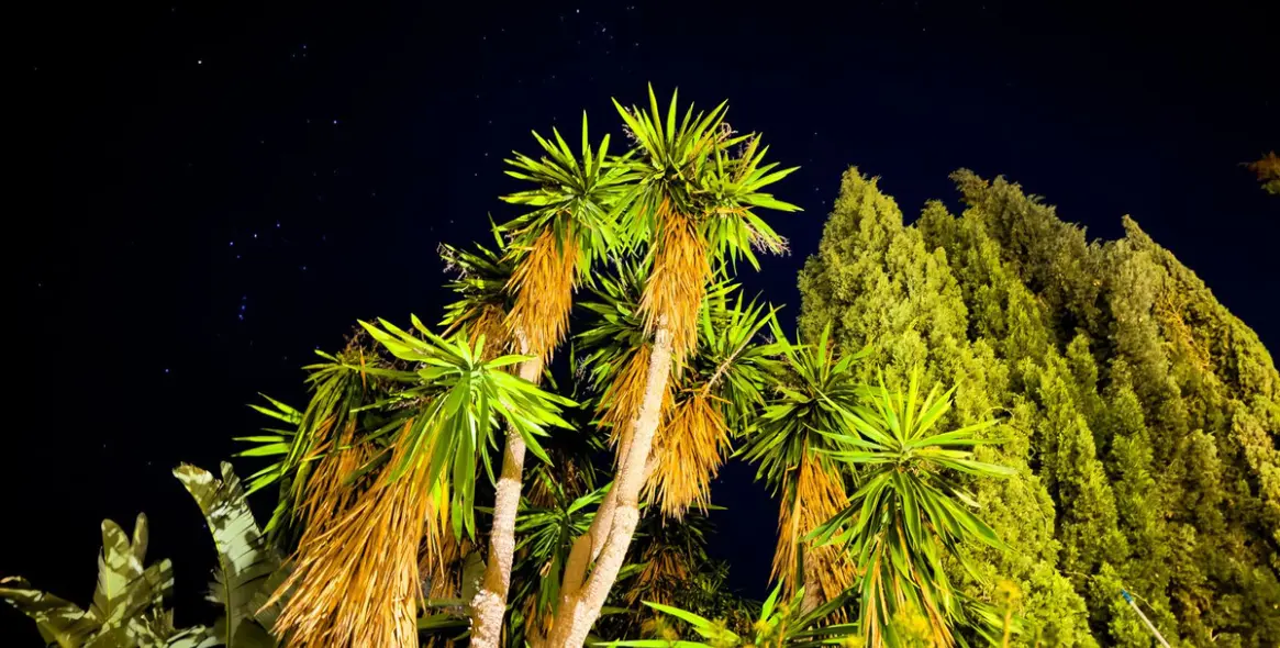 Продажа  отдельно стоящей виллы в El Rosario 28