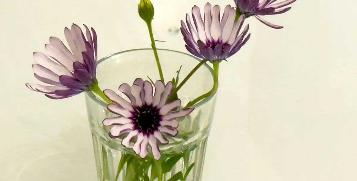 Продажа  отдельно стоящей виллы в El Rosario 43