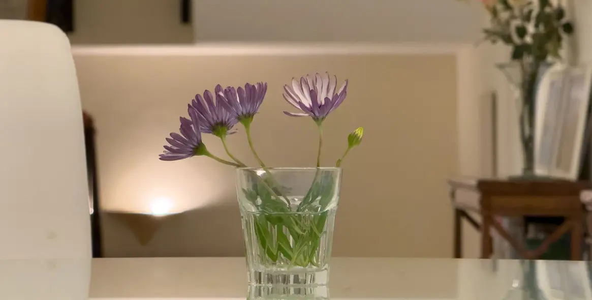 Продажа  отдельно стоящей виллы в El Rosario 44