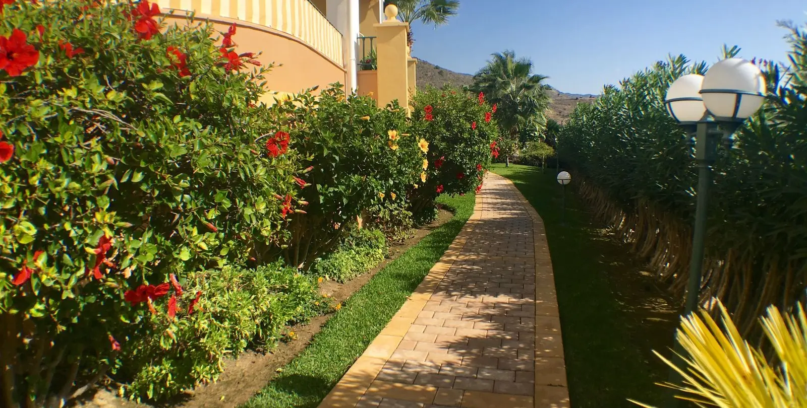 Sale of middle floor apartment in Nerja 25