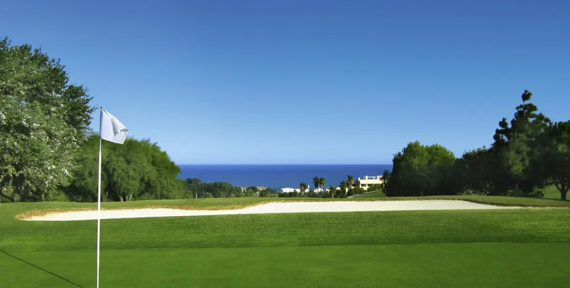 Sale of penthouse in La Duquesa 89