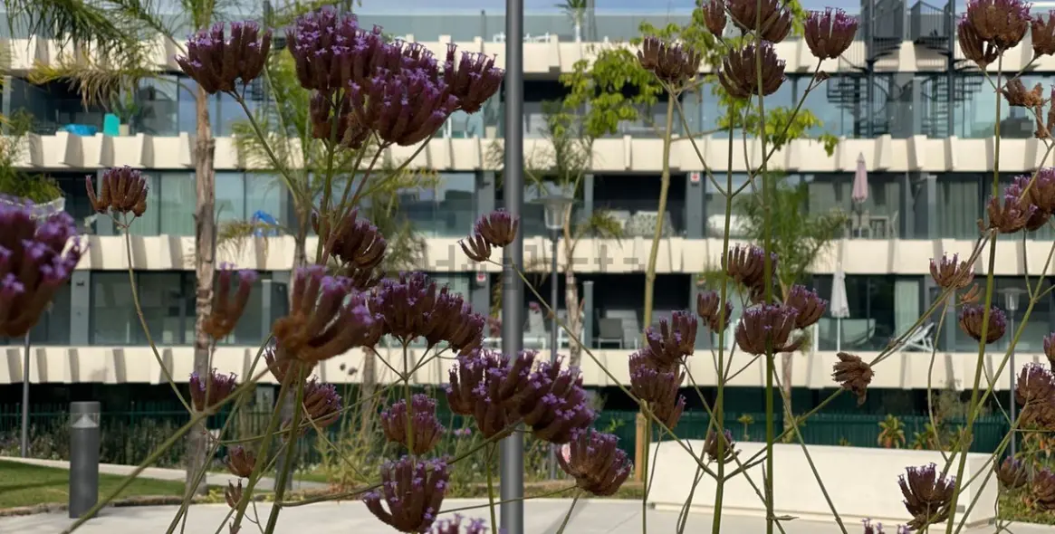 Venta de apartamento en planta baja en Selwo 35