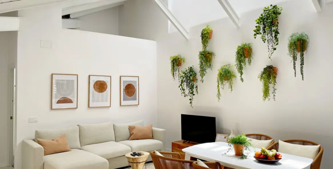 Продажа объекта в Centro Histórico 6