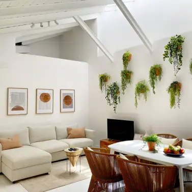 Продажа объекта в Centro Histórico