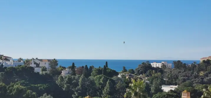 Sale of middle floor apartment in Torrequebrada 0