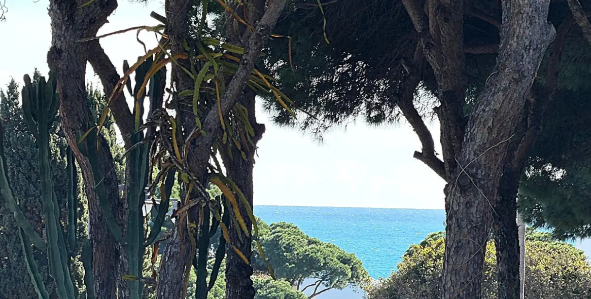 Sale of commercial plot in Calahonda 3