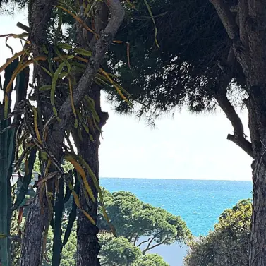 Продажа  коммерческого участка в Calahonda