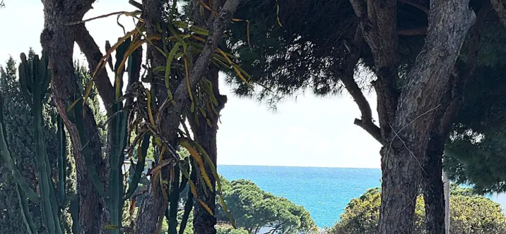 Продажа  коммерческого участка в Calahonda 2