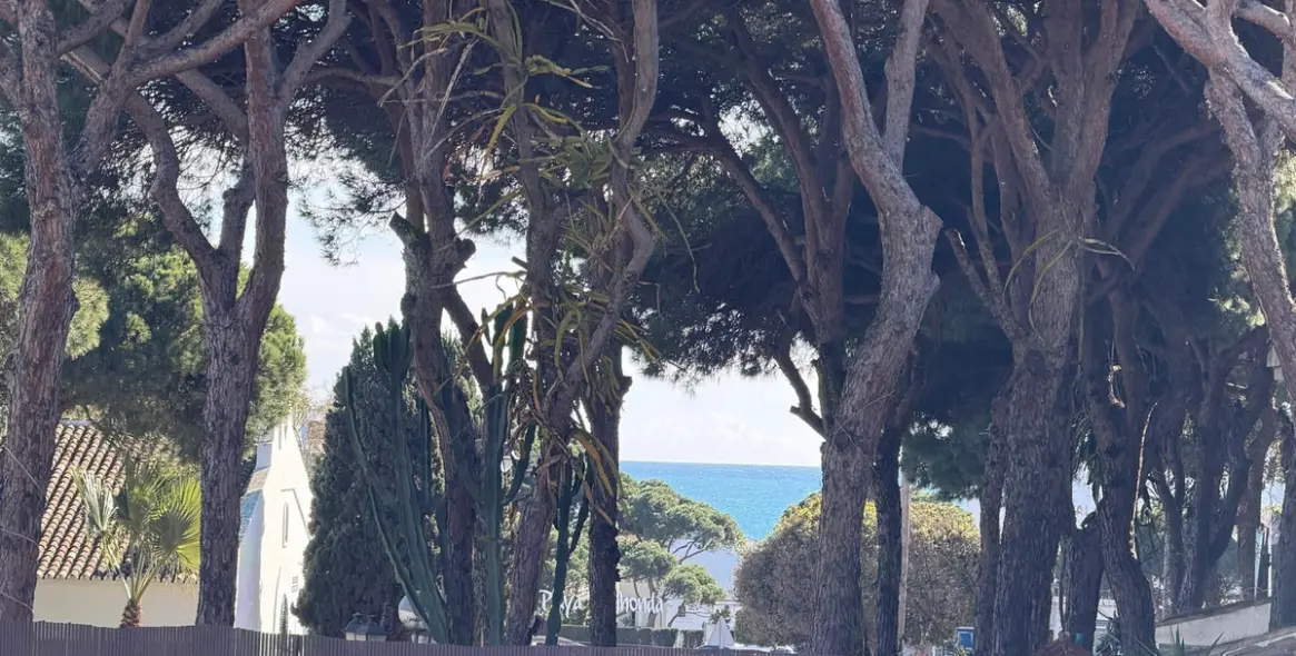 Sale of commercial plot in Calahonda 5