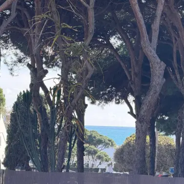 Продажа  коммерческого участка в Calahonda