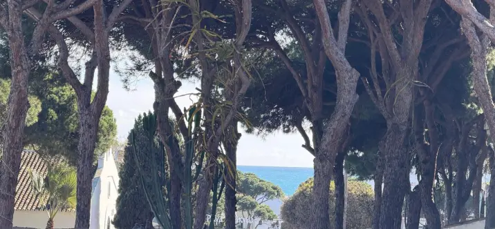 Продажа  коммерческого участка в Calahonda 4