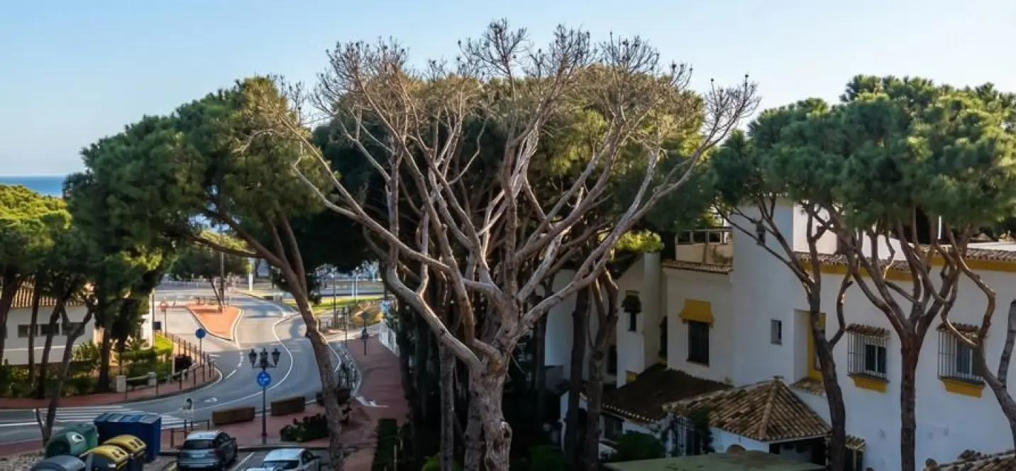 Sale of commercial plot in Calahonda 1