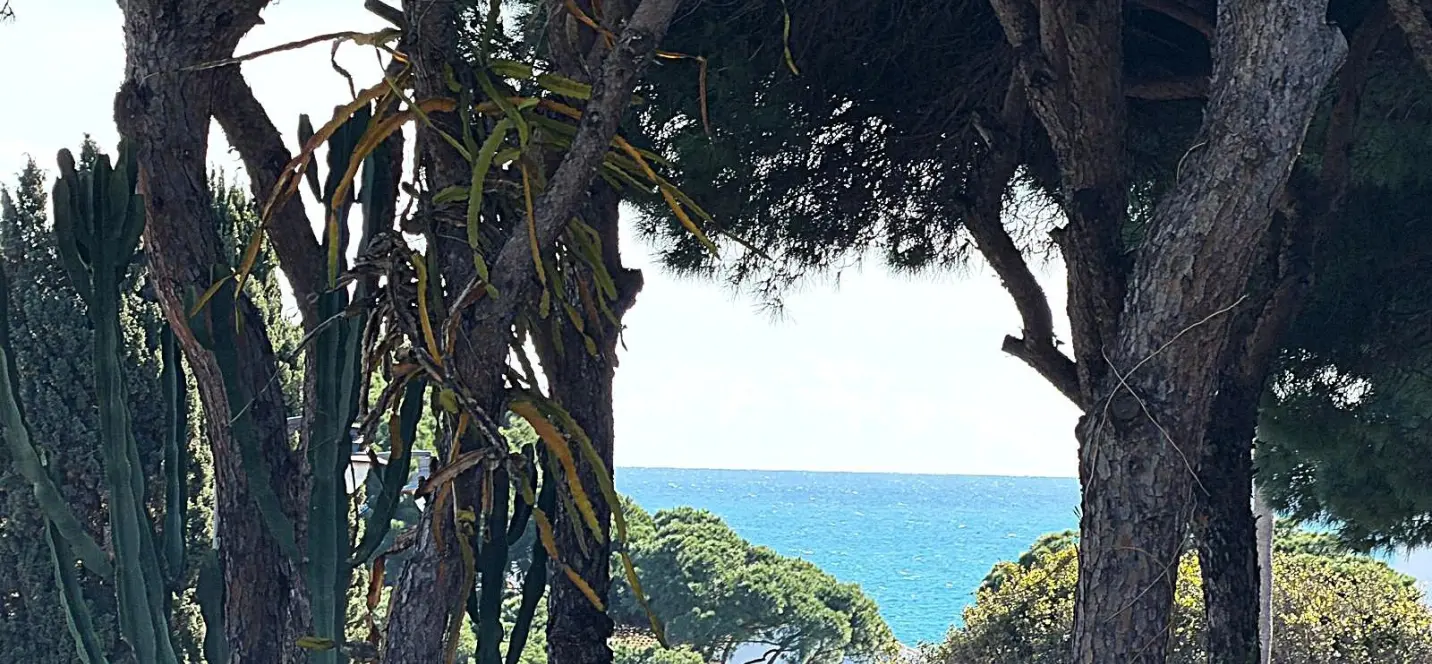 Sale of commercial plot in Calahonda 4
