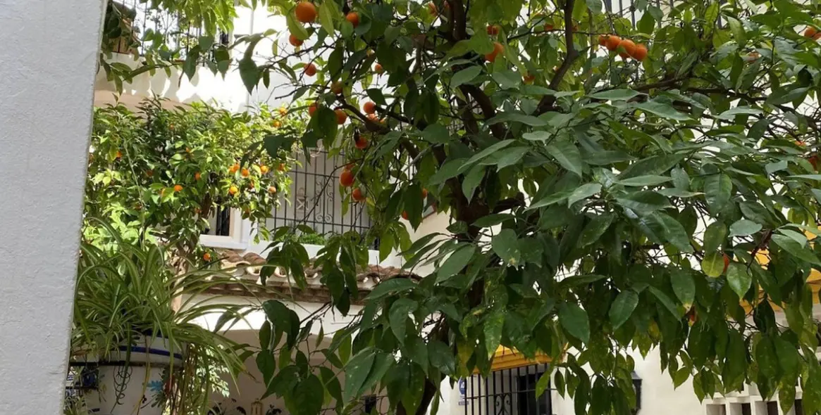 Sale of middle floor apartment in Los Almendros 15