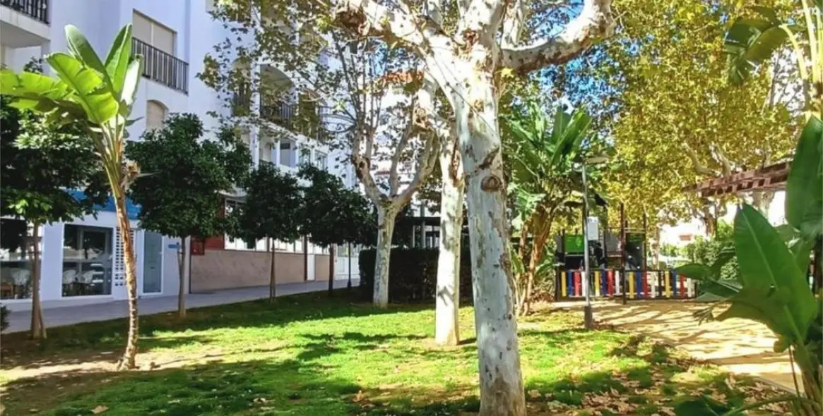 Sale of middle floor apartment in Los Boliches 4