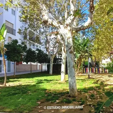 Sale of middle floor apartment in Los Boliches