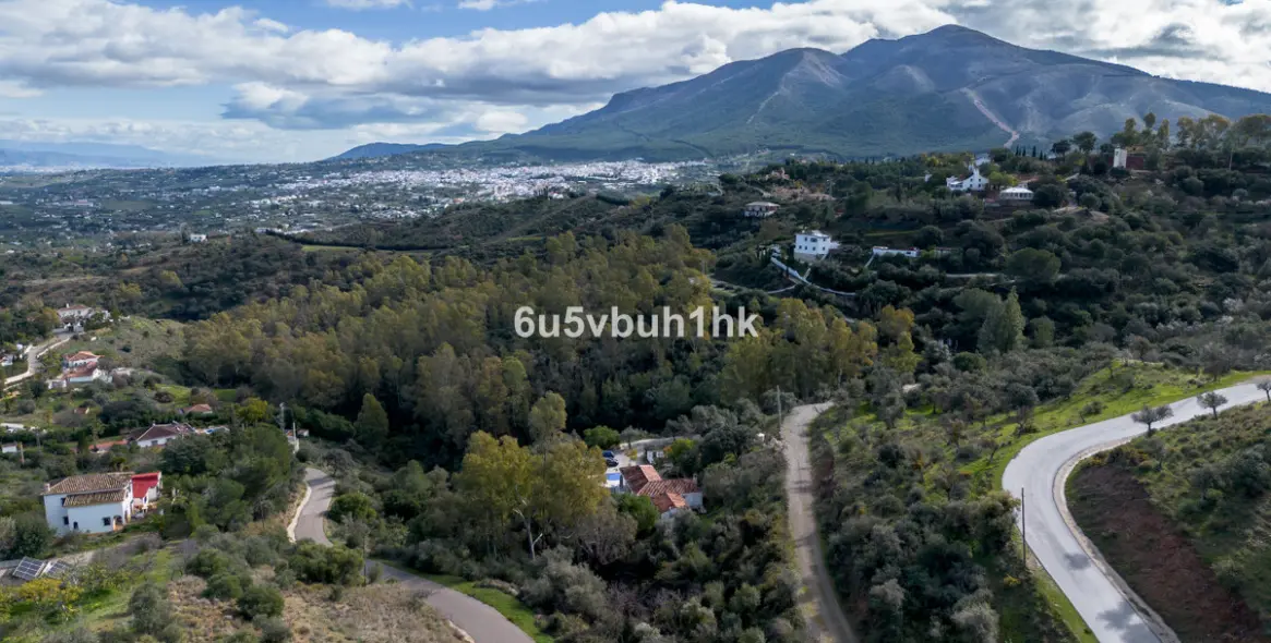 Sale of finca - cortijo in Alhaurín el Grande 8